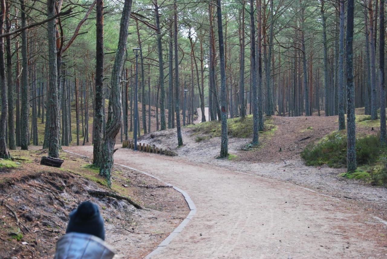 Forest House Sasino-Spa Sauna Balia מראה חיצוני תמונה
