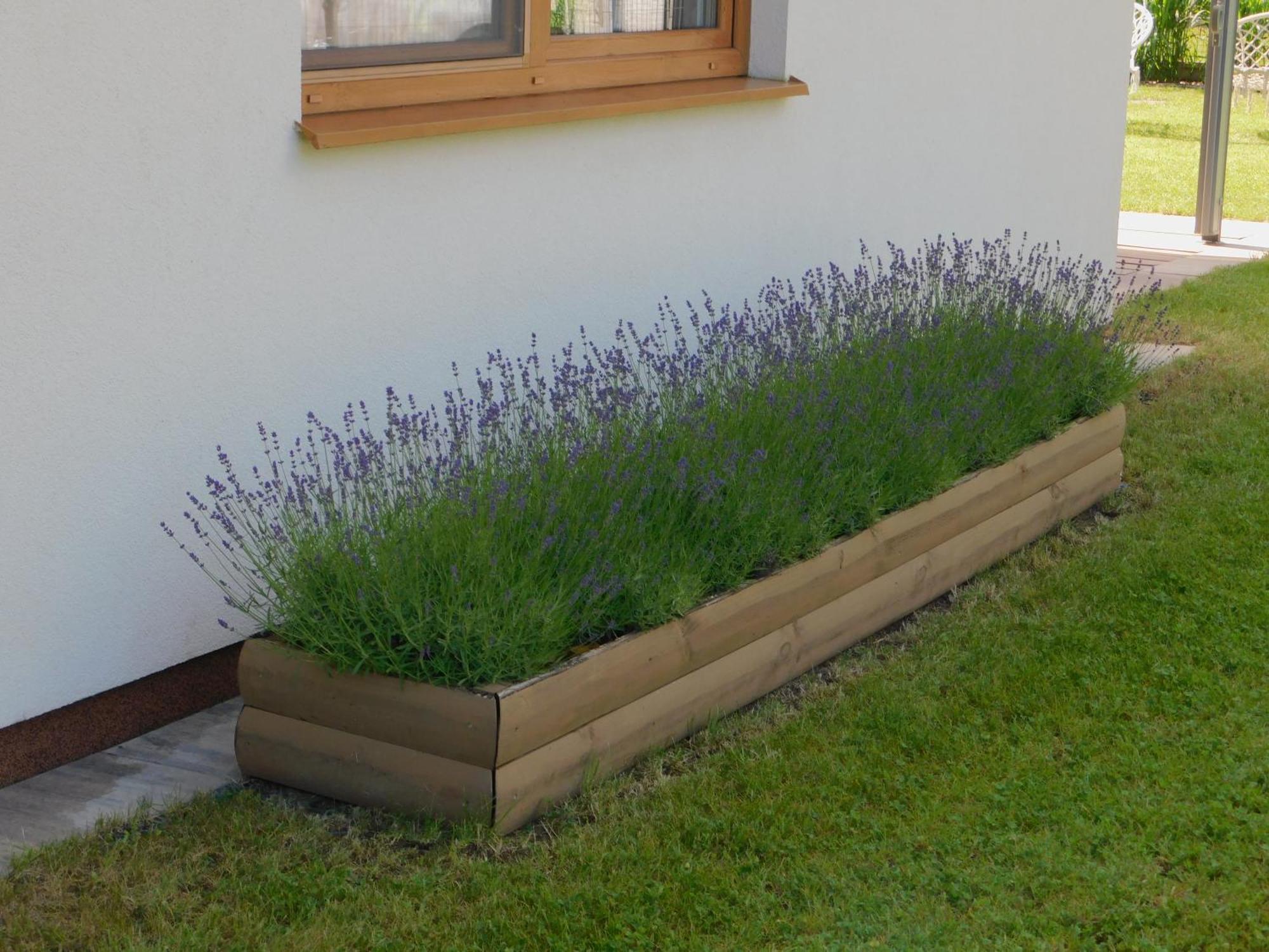 Forest House Sasino-Spa Sauna Balia מראה חיצוני תמונה